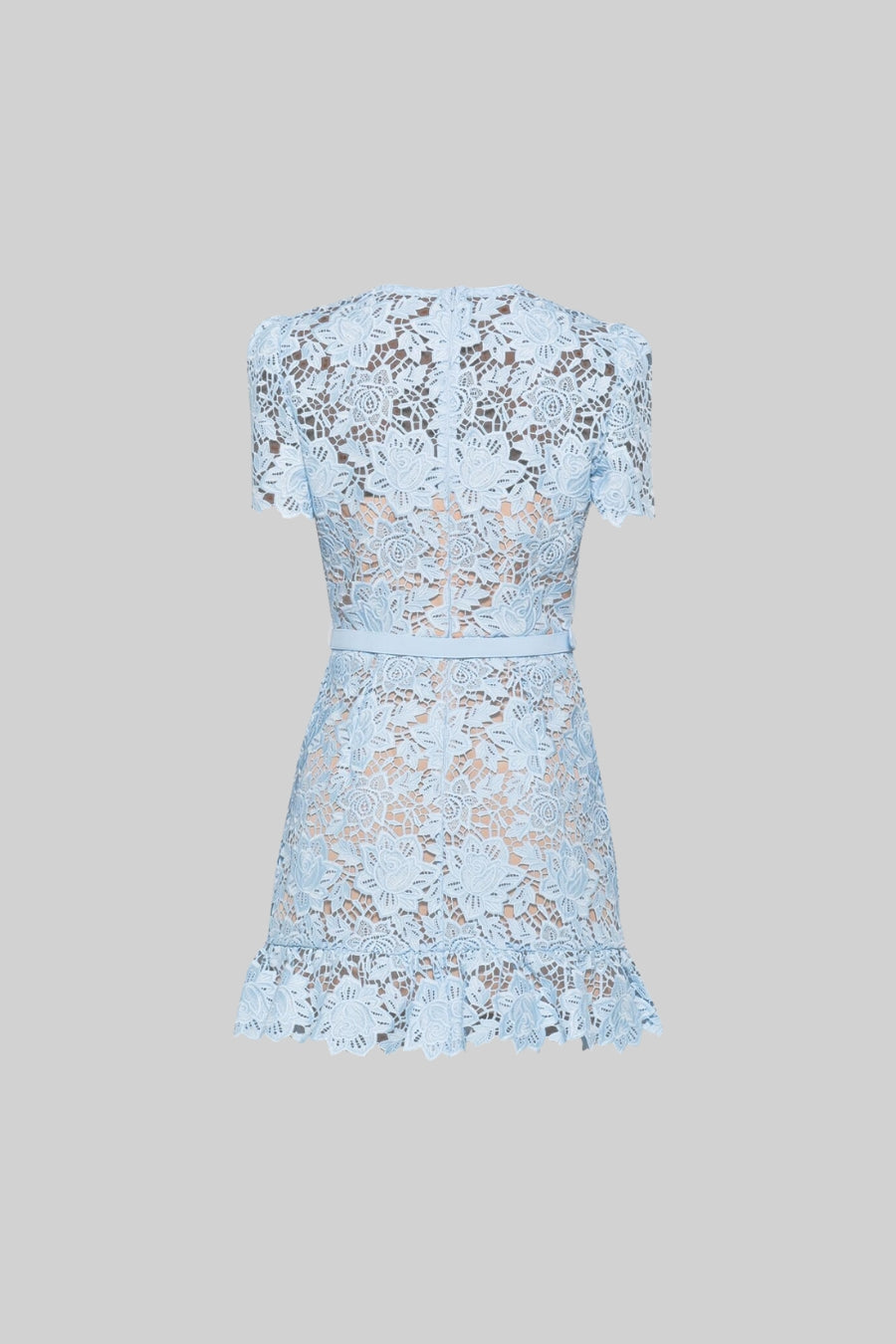 Paula  Sleeve  Floral Dress - Blue